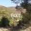 13686 SQM Land for sale in Sanida, Limassol thumbnail 5519968