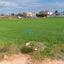 land for sale deryneia famagusta 8117602 thumbnail 16231329