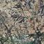 land for sale letymvou paphos 7703602 thumbnail 15596667