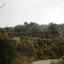 land for sale letymvou paphos 8630602 thumbnail 16278035