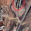 plot for sale dali nicosia 8966602 thumbnail 18380796