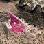 17392 SQM Land for sale in Saint George Peyia, Paphos thumbnail 15961068