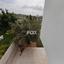 3 bedroom detached house for sale germasogeia limassol 8710702 thumbnail 16268737