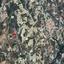 land for sale koilani limassol 8628702 thumbnail 16530306