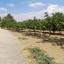 land for sale klirou nicosia 1511802 thumbnail 16168517