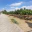 land for sale klirou nicosia 1511802 thumbnail 16168518