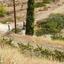 land for sale klirou nicosia 1511802 thumbnail 16168528