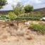land for sale klirou nicosia 1511802 thumbnail 16168580