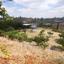 land for sale klirou nicosia 1511802 thumbnail 16168587
