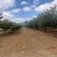 land for sale klirou nicosia 1511802 thumbnail 16168588