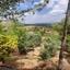 land for sale klirou nicosia 1511802 thumbnail 16168616
