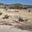 plot for sale kalavasos larnaca 7957802 thumbnail 14464949