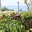 2 bedroom town house for rent potamos germasogeias limassol 8537902 thumbnail 15542461