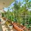 3 bedroom detached house for sale peyia paphos 8101902 thumbnail 13217780