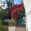 3 bedroom detached house for sale platy aglantzias nicosia 8736902 thumbnail 16351270