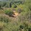 9700 SQM Land for sale in Mandria Lemesou, Limassol thumbnail 835043