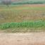 land for sale akaki nicosia 1890902 thumbnail 16162275