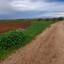 land for sale akaki nicosia 1890902 thumbnail 16162277