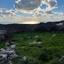land for sale ineia paphos 8529902 thumbnail 15458308