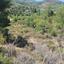 land for sale mandria lemesou limassol 938902 thumbnail 835040