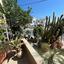 2 bedroom detached house for rent faneromeni larnaca 8834012 thumbnail 17015425