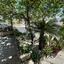2 bedroom detached house for rent faneromeni larnaca 8834012 thumbnail 17015430