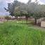 3 bedroom detached house for sale dekeleia larnaca 8605012 thumbnail 15762697