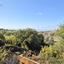 3 bedroom detached house for sale lofos tala paphos 7546012 thumbnail 16529191