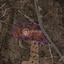 land for sale agios athanasios limassol 1763012 thumbnail 10699406