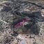 land for sale agios therapon limassol 8275112 thumbnail 15157648