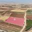 land for sale peristerona lefkosias nicosia 8629112 thumbnail 15865573