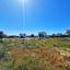 land for sale peyia paphos 1076112 thumbnail 1255621