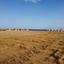 land for sale softades larnaca 823112 thumbnail 12829484