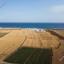 land for sale softades larnaca 823112 thumbnail 12829485