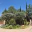 4 bedroom detached house for sale aphrodite hills paphos 8759212 thumbnail 16534268