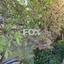 4 bedroom detached house for sale pyrgos limassol limassol 1185212 thumbnail 5567402