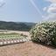 5 bedroom detached house for sale prastio kellakiou limassol 8375212 thumbnail 15277717