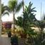 6 bedroom detached house for sale alethriko larnaca 7871212 thumbnail 11380308