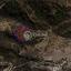 14382 SQM Land for sale in Kapileio, Limassol thumbnail 9722775