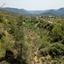 land for sale kalo chorio lemesou limassol 8630212 thumbnail 15871774