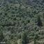 land for sale lythrodontas nicosia 1674212 thumbnail 4323936