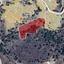 land for sale mitsero nicosia 1701212 thumbnail 4502790