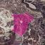 land for sale skarinou larnaca 7872212 thumbnail 14891869