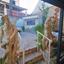 studio building for sale ayia napa famagusta 1681212 thumbnail 4373570