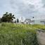 land for sale paralimni famagusta 8869312 thumbnail 17195790