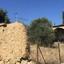 1 bedroom detached house for sale tseri nicosia 8322412 thumbnail 14228182