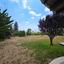 3 bedroom detached house for sale tala paphos 8844412 thumbnail 17075623