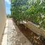 3 bedroom detached house for sale tala paphos 8844412 thumbnail 17075632