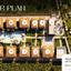 5 bedroom detached house for sale zygi larnaca 8347412 thumbnail 14675343