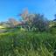 land for sale asgata limassol 8890412 thumbnail 17319693